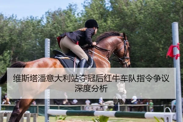 维斯塔潘意大利站夺冠后红牛车队指令争议深度分析